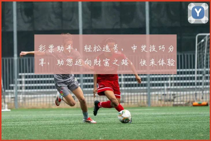 彩票助手，轻松选号，中奖技巧分享，助您迈向财富之路，快来体验