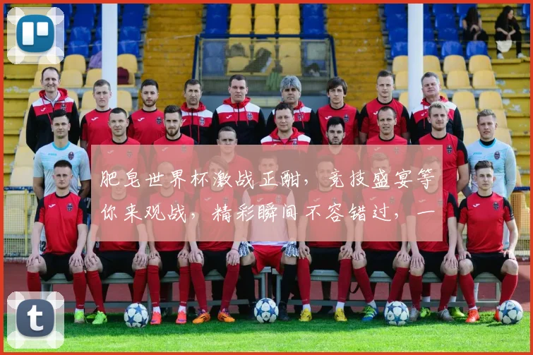 肥皂世界杯激战正酣，竞技盛宴等你来观战，精彩瞬间不容错过，一触即发