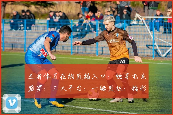 王者体育在线直播入口，畅享电竞盛宴，三大平台，一键直达，精彩不停歇，错过不再有